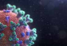 coronavirus visualization