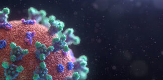 coronavirus visualization