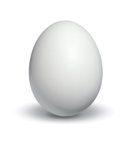 An egg