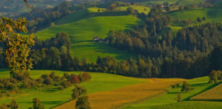 A farm in a valley