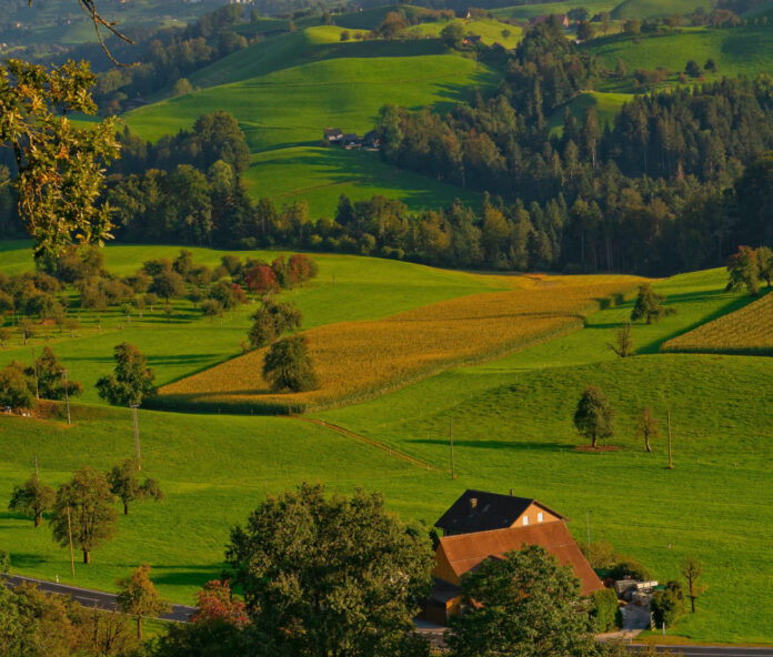 A farm in a valley