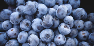 Blueberries. Photo by Jeremy Ricketts on Unsplash