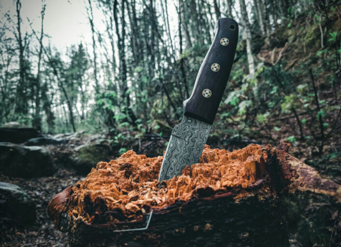An expensive knife with Damascus blade and a lanyard hole. Photo by Ali Kazal on Unsplash