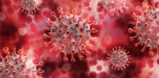 Coronavirus is back and causing trouble again. Photo by Gerd Altmann from Pixabay