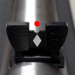 rear sight on a Ruger 10/22 rifle