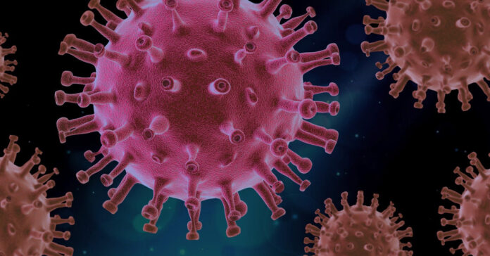 A magnified view of the coronavirus