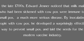 In the late 1700s, Edward Jenner noticed that milk maids who had been sickened with cow pox were immune to small pox, a much more serious disease. By inoculating people with cow pox, he developed a surprisingly effective way to prevent small pox, and laid the seeds for the modern vaccine industry.