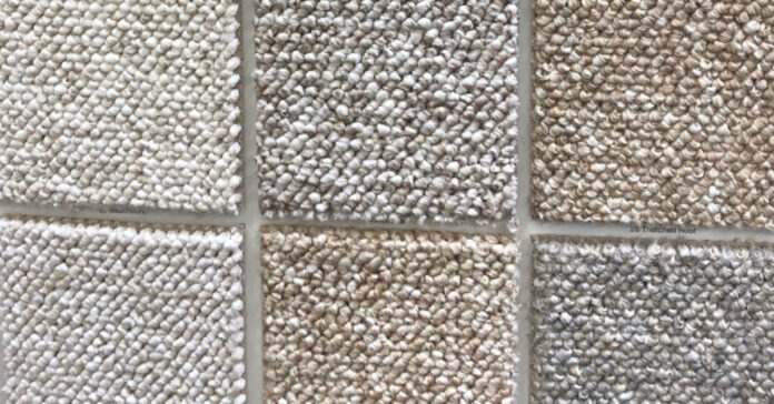 Samples of carpet color