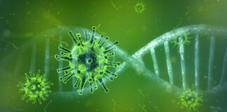 Coronavirus and DNA strand