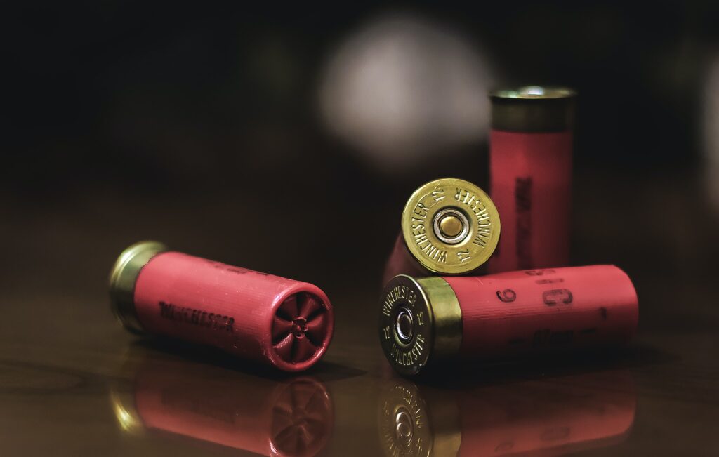 Shotgun shells.  Photo by David Leveque.