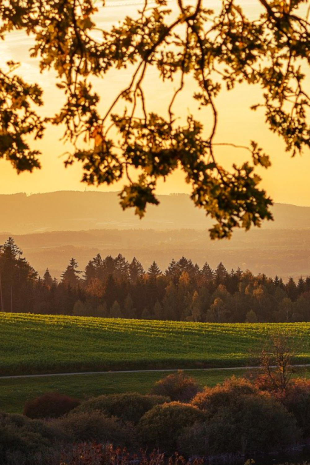 Autumn Arrives on the Homestead