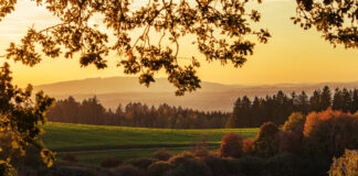 An autumn scene in the mountains