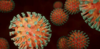 Coronavirus with spikes