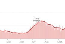 November 9: COVID-19 Cases Spike in U.S., Europe as Vaccine Hopes Soar Chart from the New York Times showing COVID-19 case growth
