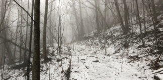 The track up the mountain in the snow and fog