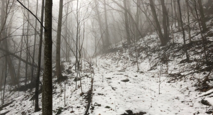 The track up the mountain in the snow and fog