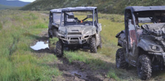 Side by side ATVs. Image by Fred Arriola from Pixabay.
