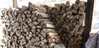 Roughly a cord of firewood stacked to dry
