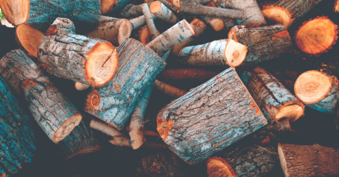 A pile of freshly cut fire wood. Photo by Chandler Cruttenden on Unsplash.