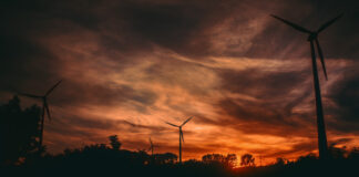 Windmills generating electricity. Photo by Irina Iriser on Unsplash.