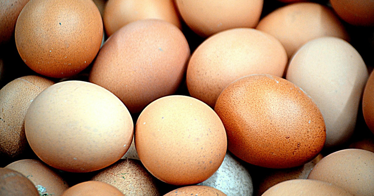 Brown eggs