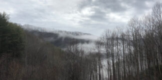 fog rolls up the valley