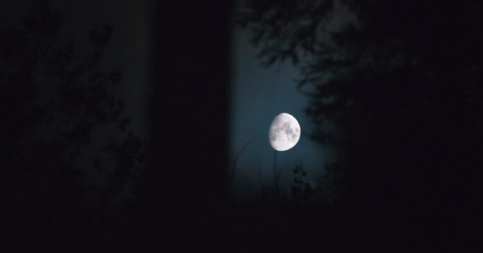 A dark night in the country. Photo by Gary Meulemans on Unsplash.