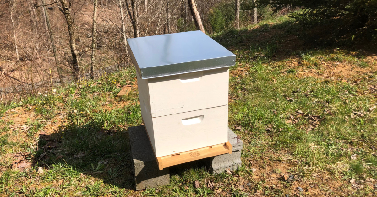 A new bee hive with two deep hive bodies and a telescoping lid.