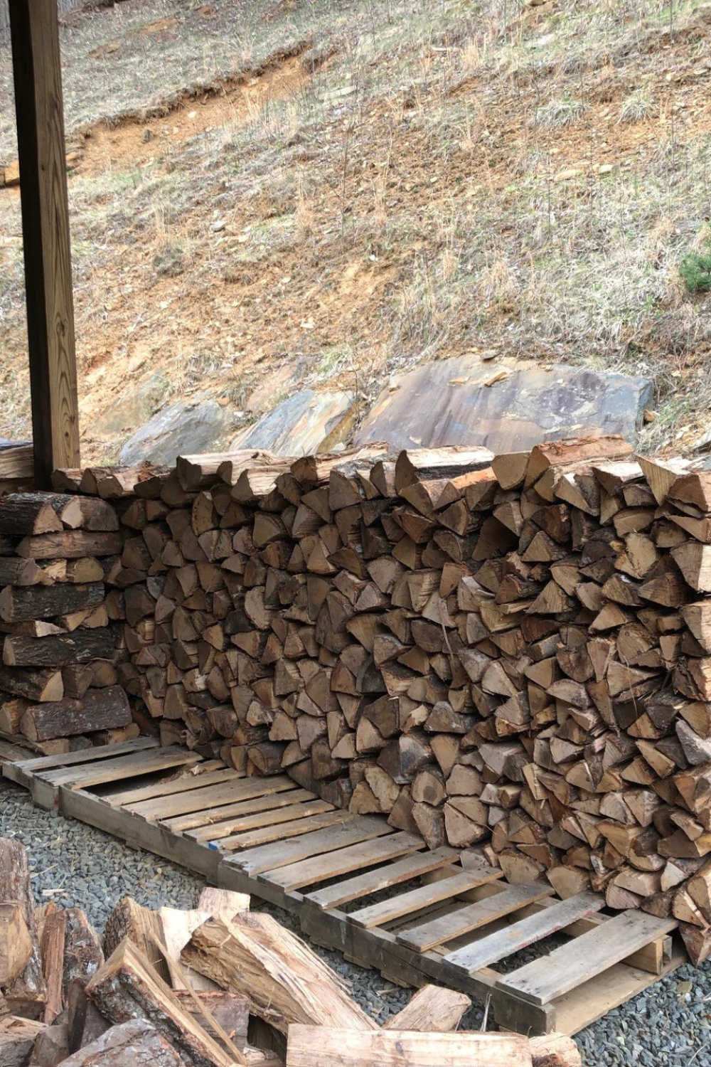 Firewood and Desperation Before and After the SHTF