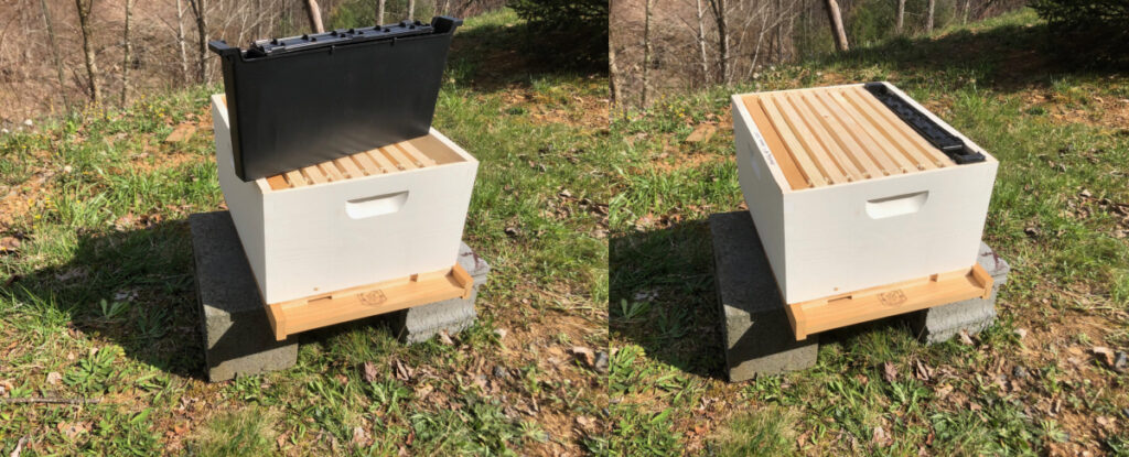 Frame feeder for a beehive
