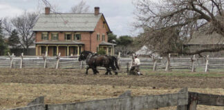 farming in the 1800s