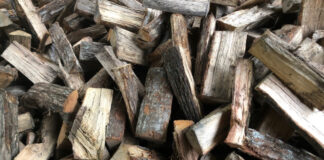 A pile of firewood waiting to be stacked