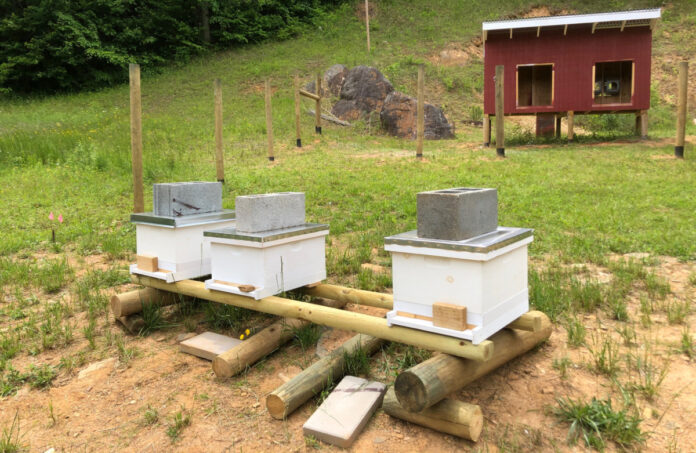 Beehives and chicken coop