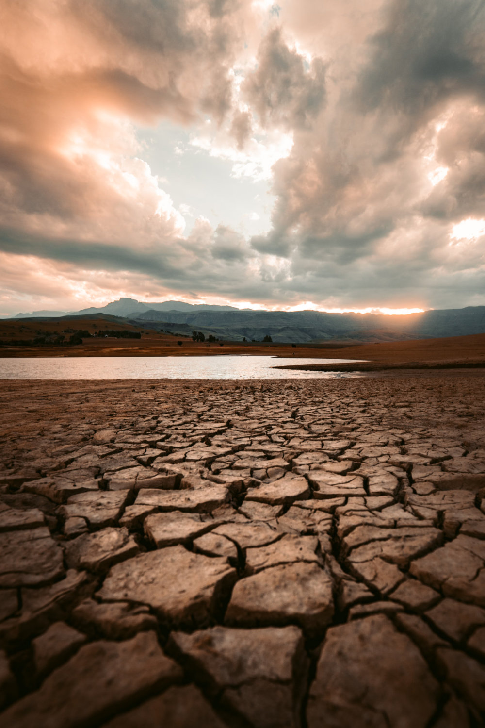 How to Prepare for Drought and Changing Weather Patterns