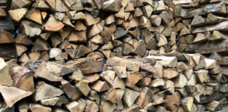 Firewood stacked in rows