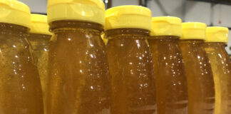 Rows of honey jars
