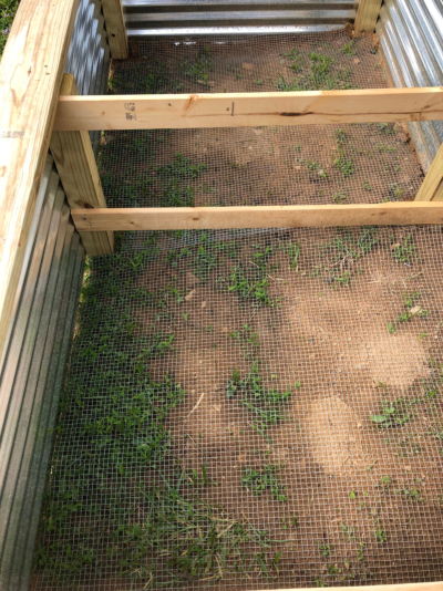 hardware cloth on the bottom of the raised bed