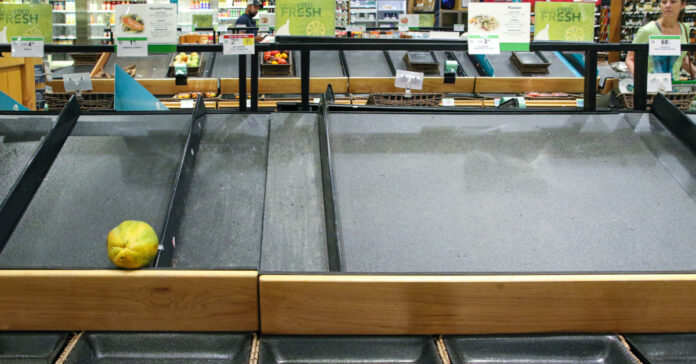 Empty shelves at a Florida grocery store due to shortages. Photo by Mick Haupt on Unsplash.