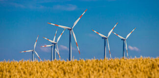 Windmills in a field. Image by Alexander Droeger from Pixabay