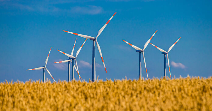 Windmills in a field. Image by Alexander Droeger from Pixabay