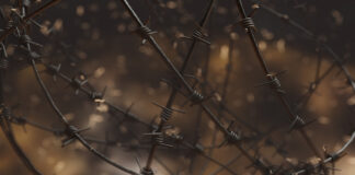 Barb wire surrounding a prison camp.