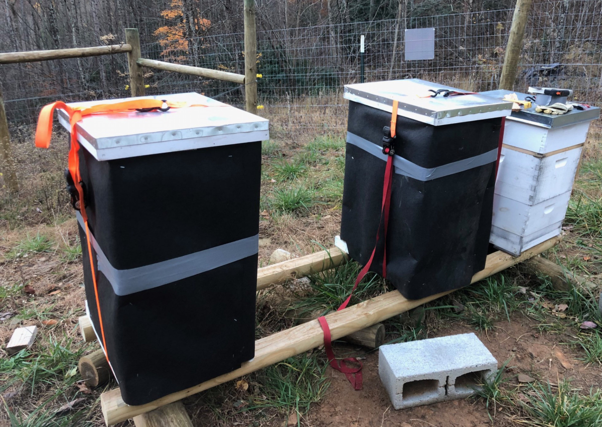 Two winterized beehives