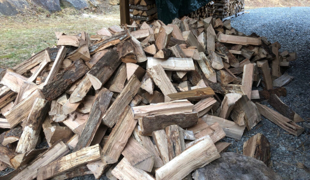 A pile of firewood waiting to be stacked.
