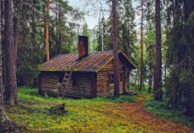 A hidden forest cabin