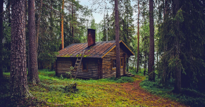 A hidden forest cabin