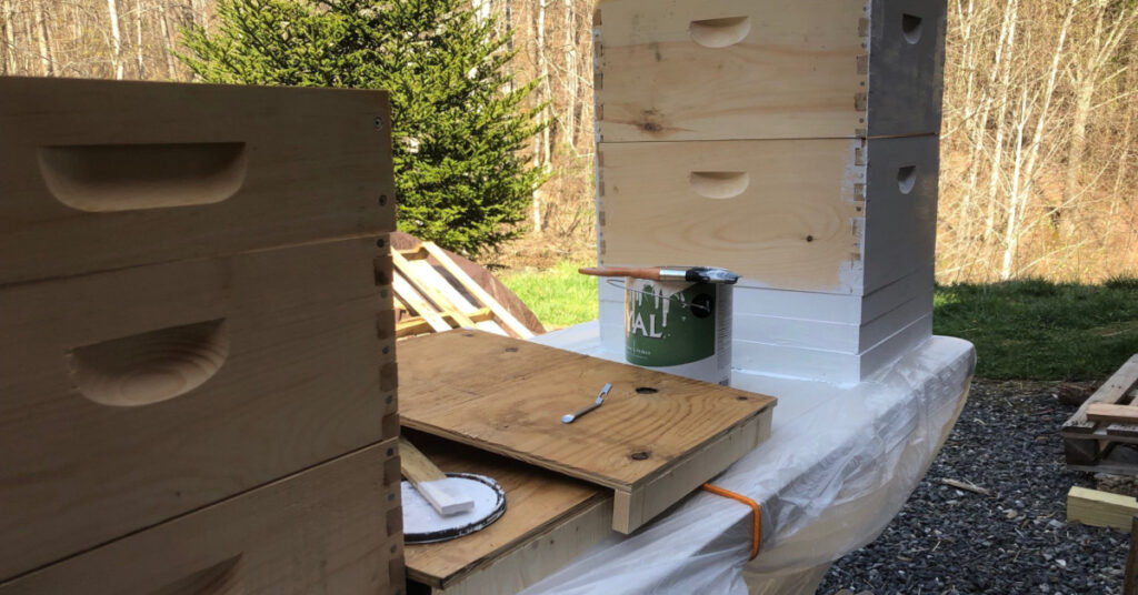 bee hives being painted