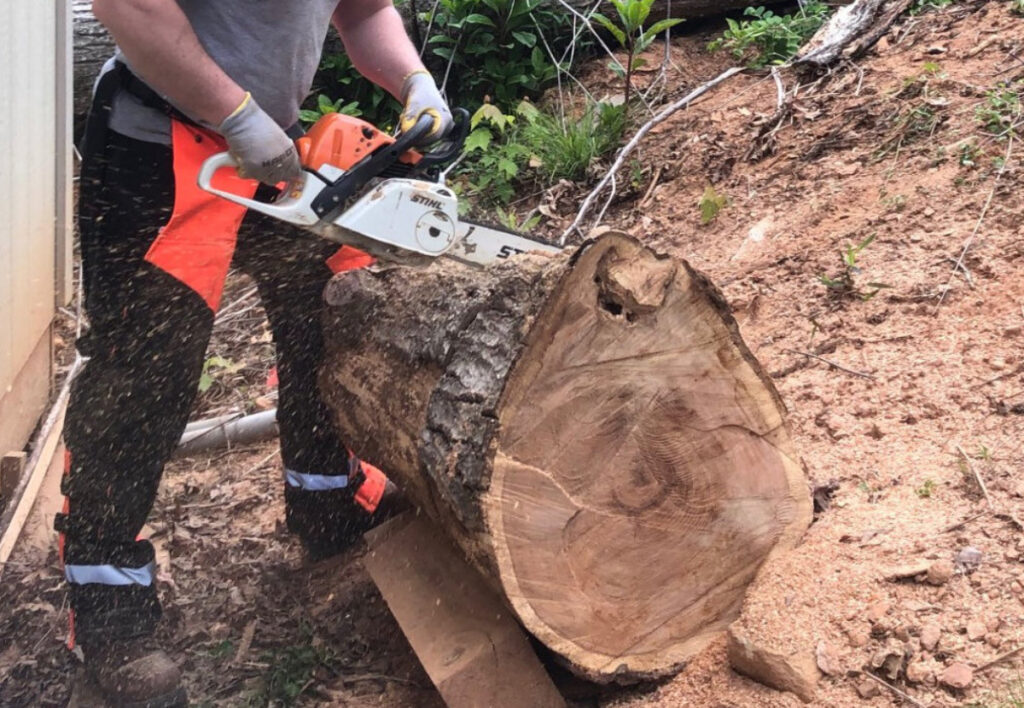 a big log and a small saw