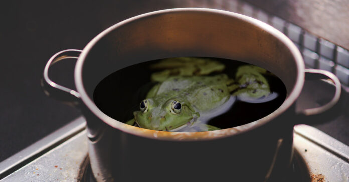 A frog in a pot on a stove
