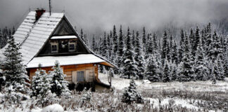 a woodland retreat in the winter