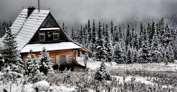 a woodland retreat in the winter